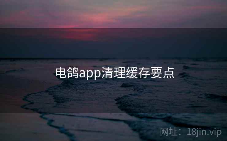 电鸽app清理缓存要点