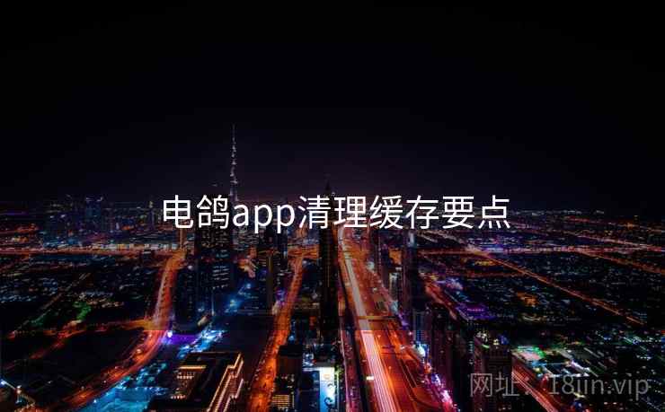 电鸽app清理缓存要点