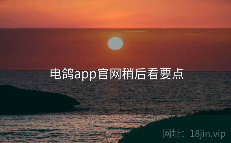 电鸽app官网稍后看要点