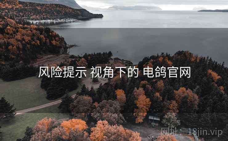 风险提示 视角下的 电鸽官网