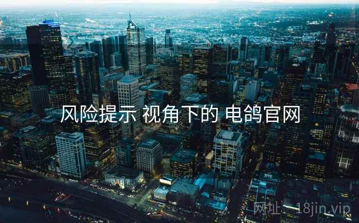 风险提示 视角下的 电鸽官网