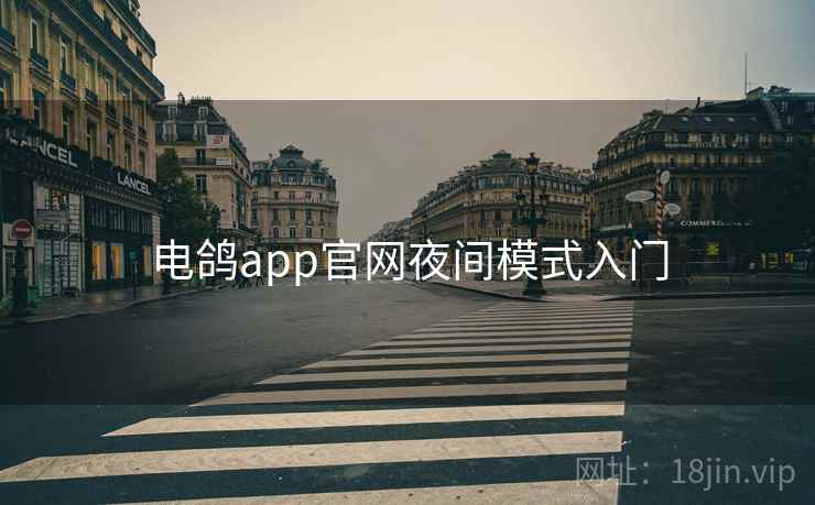 电鸽app官网夜间模式入门