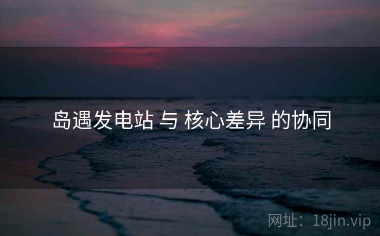 岛遇发电站 与 核心差异 的协同