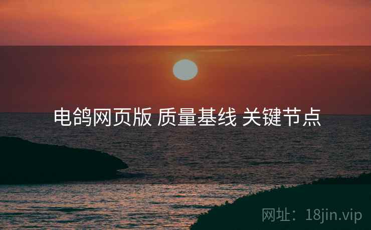 电鸽网页版 质量基线 关键节点