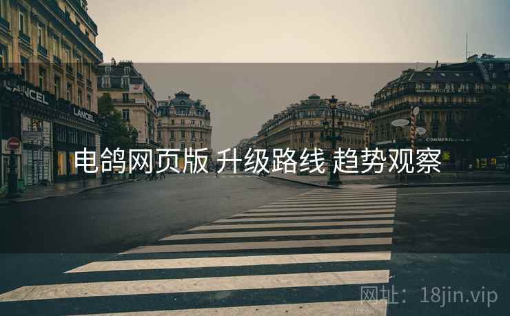 电鸽网页版 升级路线 趋势观察