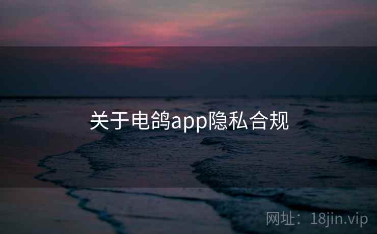 关于电鸽app隐私合规