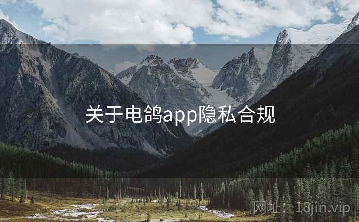 关于电鸽app隐私合规