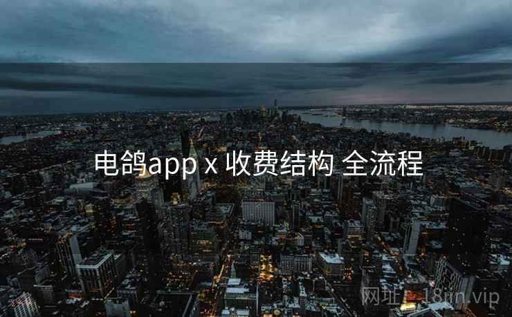 电鸽app x 收费结构 全流程