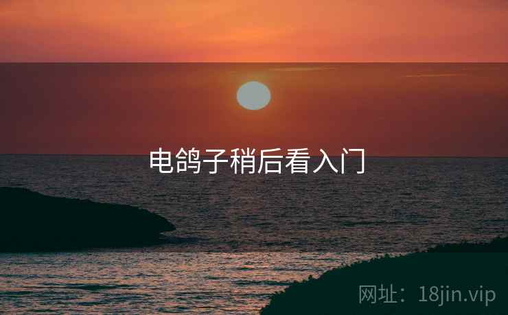电鸽子稍后看入门