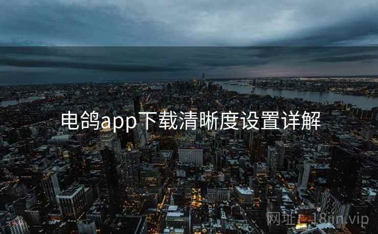 电鸽app下载清晰度设置详解 电鸽app下载清晰度设置详解
