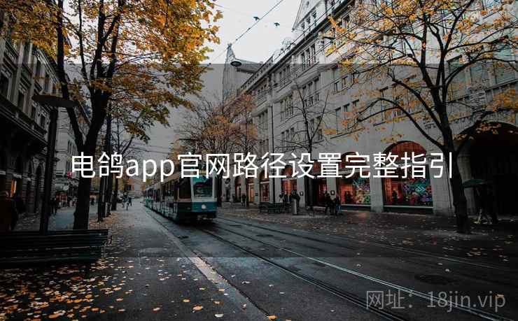 电鸽app官网路径设置完整指引