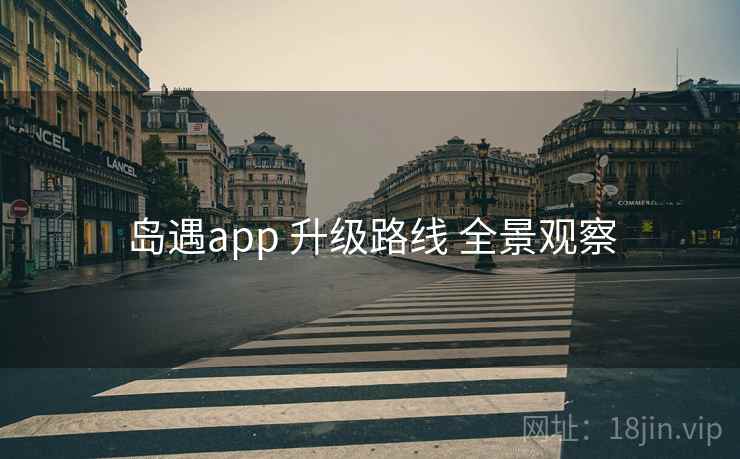 岛遇app 升级路线 全景观察
