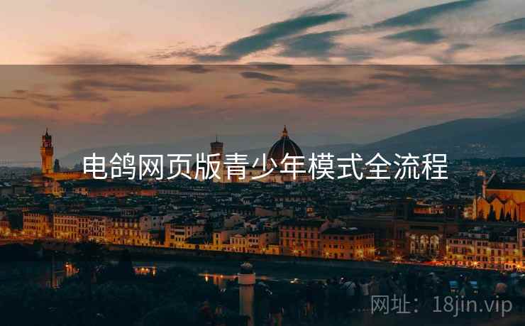 电鸽网页版青少年模式全流程