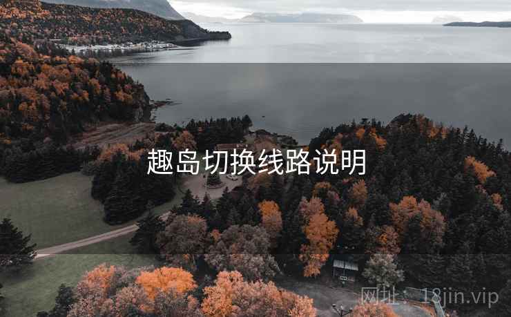 趣岛切换线路说明