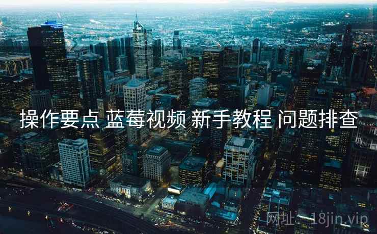 操作要点 蓝莓视频 新手教程 问题排查