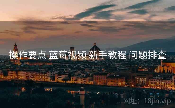 操作要点 蓝莓视频 新手教程 问题排查