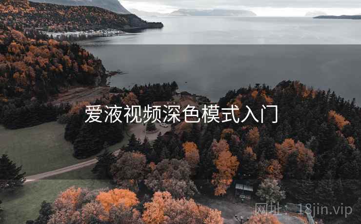 爱液视频深色模式入门