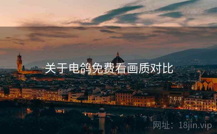 关于电鸽免费看画质对比