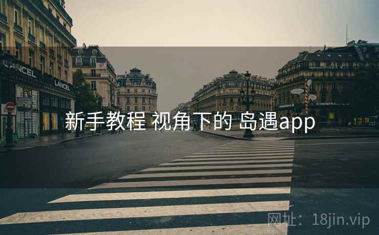 新手教程 视角下的 岛遇app